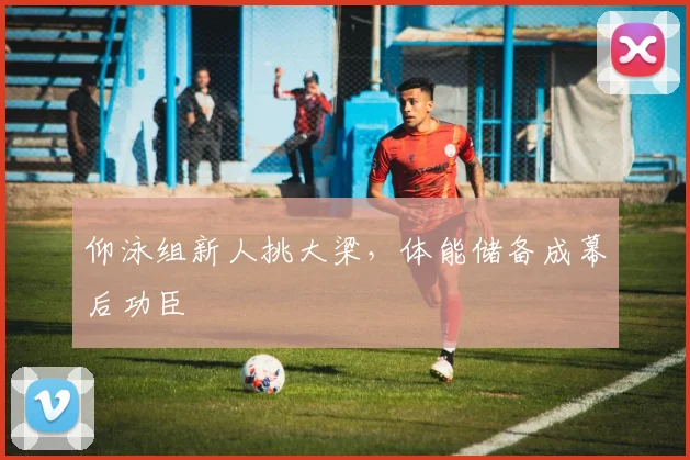 仰泳组新人挑大梁,体能储备成幕后功臣