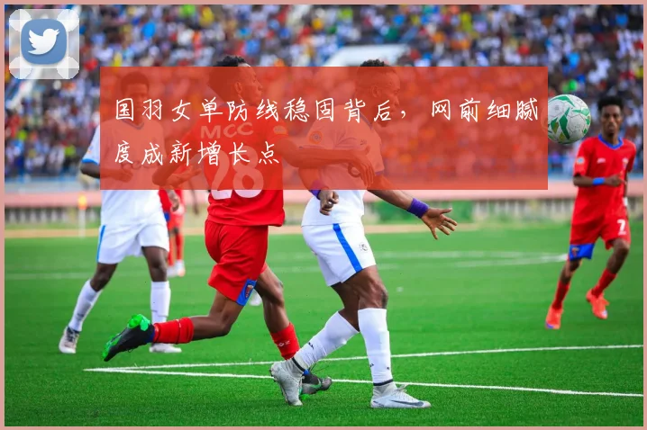 国羽女单防线稳固背后，网前细腻度成新增长点 - 搜狐体育