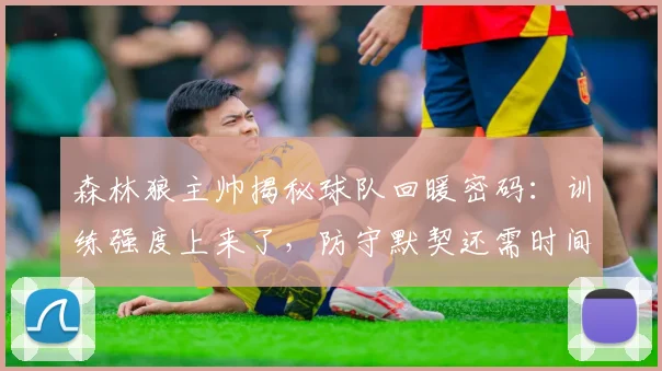森林狼主帅揭秘球队回暖密码:训练强度上来了,防守默契还需时间