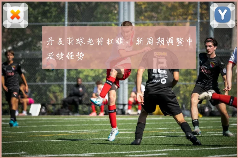 丹麦羽球老将扛旗,新周期调整中延续强势